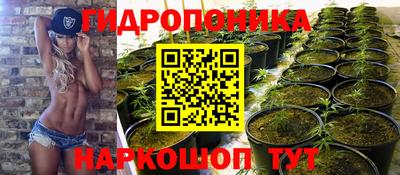твердый Будённовск