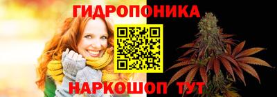 твердый Будённовск