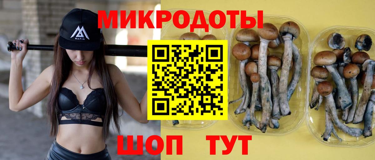 Галлюциногенные грибы мухоморы Югорск